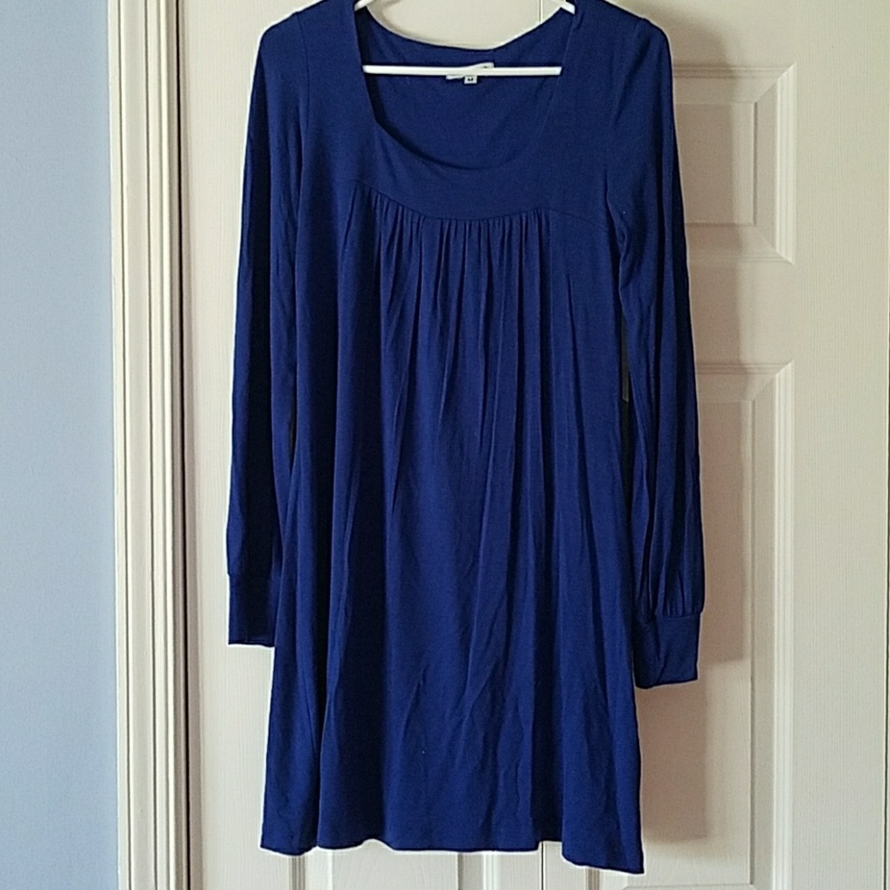 Velvet torch long  sleeved dress